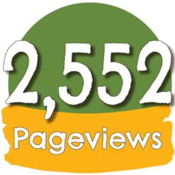 2,552 Pageviews